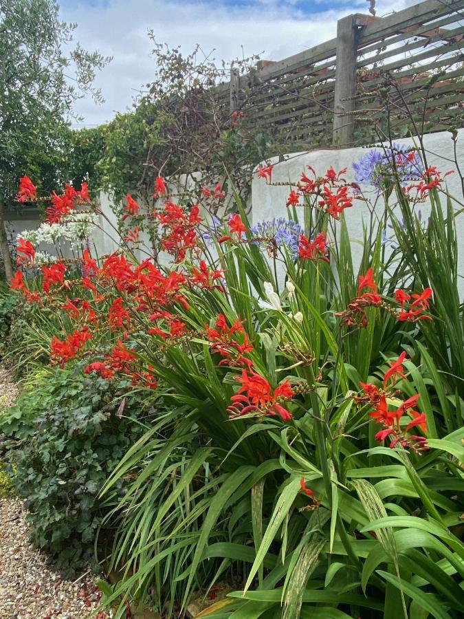 Bed & Breakfast Penwyth House