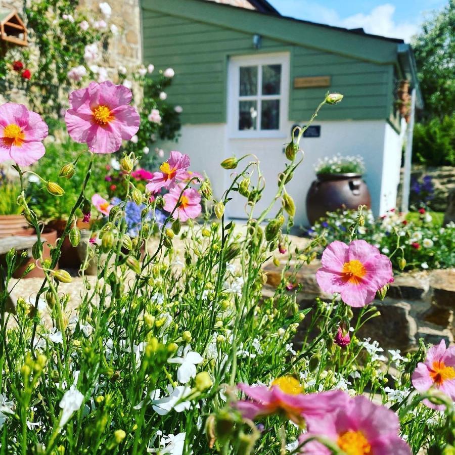 Bed & Breakfast Penwyth House Newquay (Cornwall)