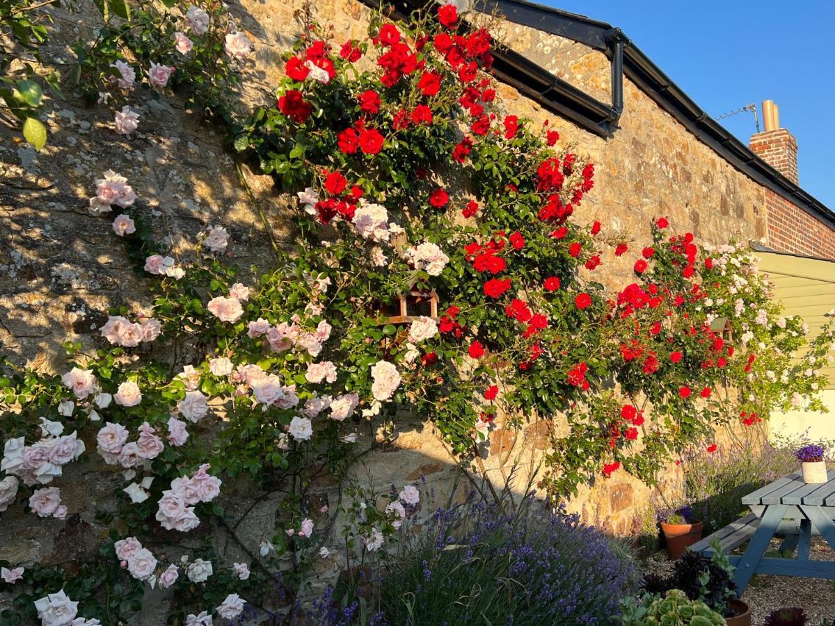 Bed & Breakfast Penwyth House *