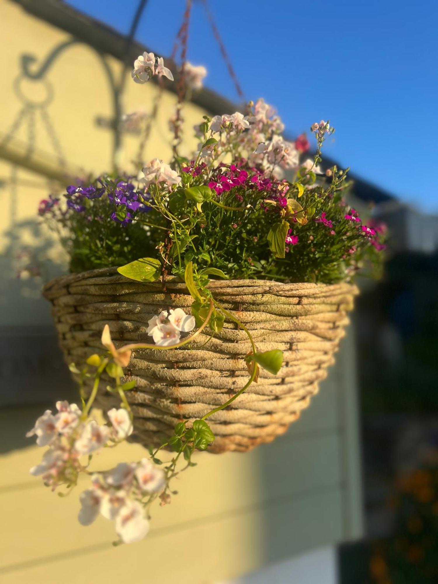 Bed & Breakfast Penwyth House Newquay (Cornwall)
