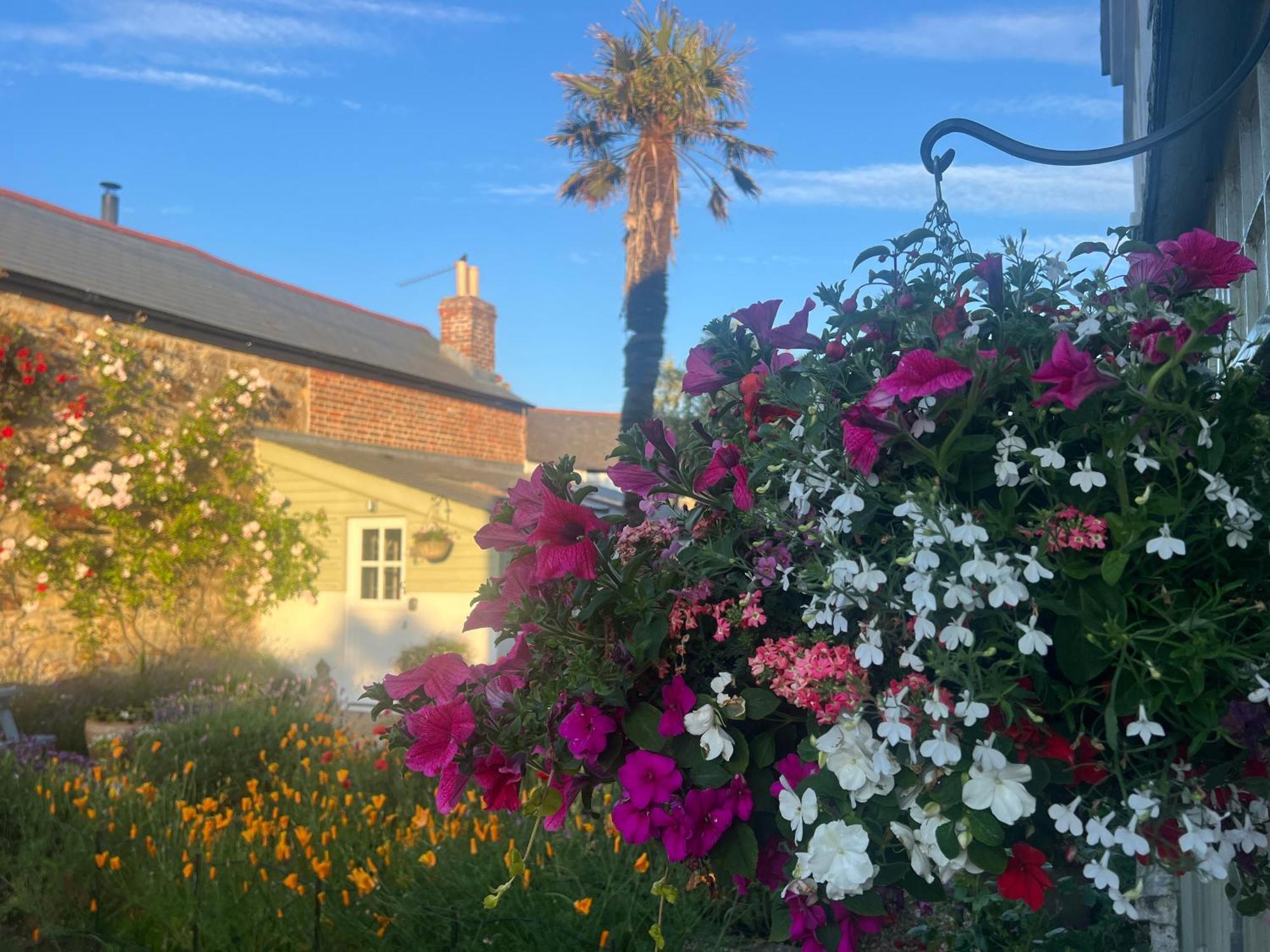 Penwyth House Bed & Breakfast Newquay (Cornwall)